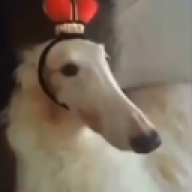 nowifi666